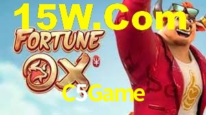 Premium Interface C5Game